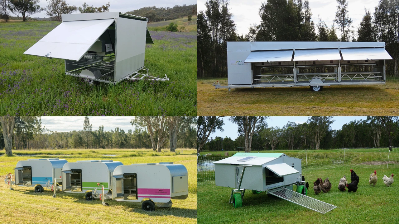 Just some of the products we sell collage of Chicken Caravans including CC130, CC450, CC10s, CC30