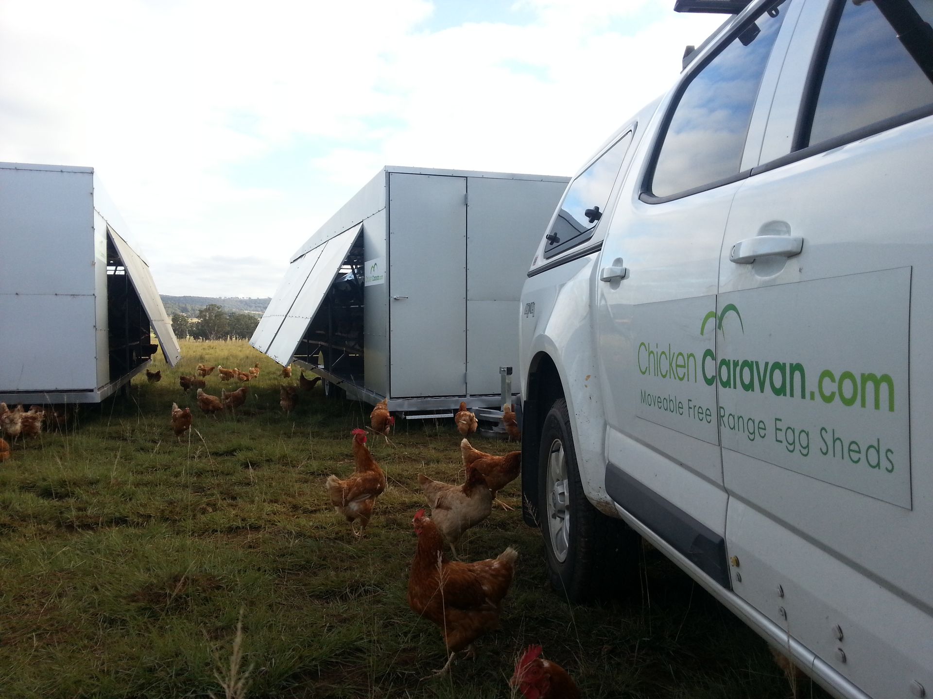 Delivering another Chicken Caravan Chicken Caravan tow vehicle dropping off a Chicken Caravan