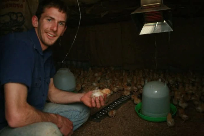 Daniel with 2000 day old chicks Daniel with his 2000 day old chicks Chicken Caravan