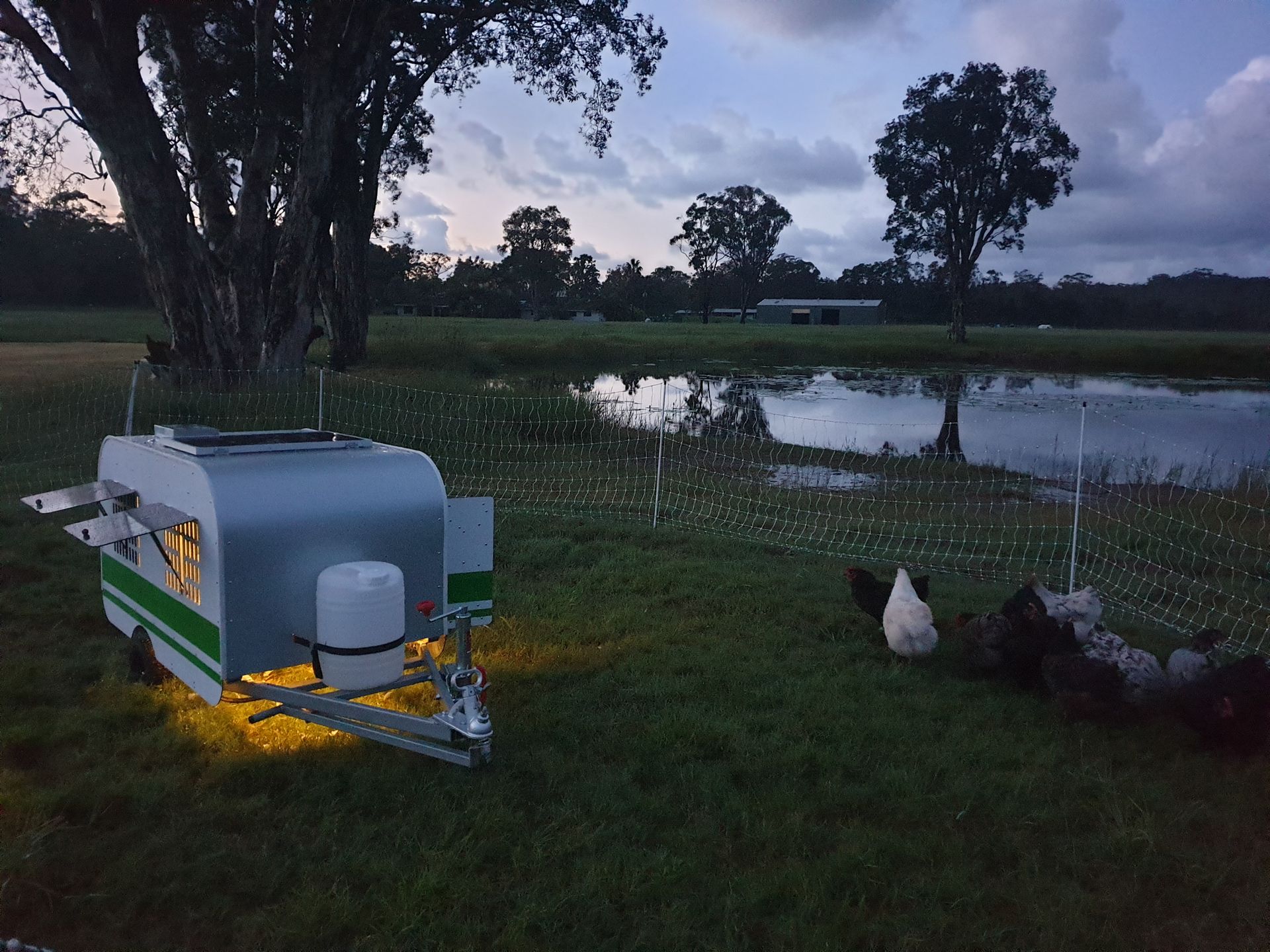 Our smallest caravan, the Chicken Caravan 10 Chicken Caravan 10 on dusk near dam with hens and lighting kit on