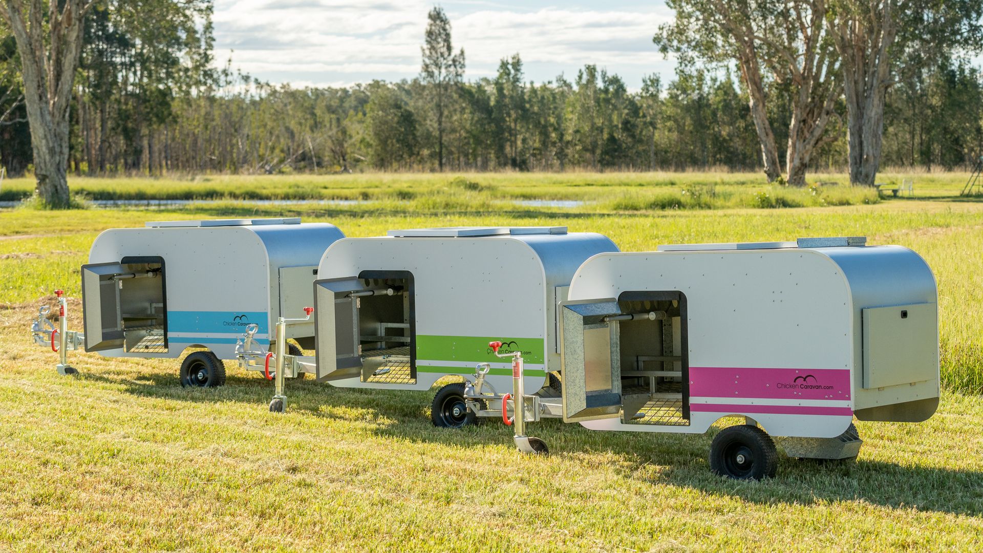 3 of the colours of the Chicken Caravan 10 Chicken Caravan 10 in a row, three colours - blue, green and pink
