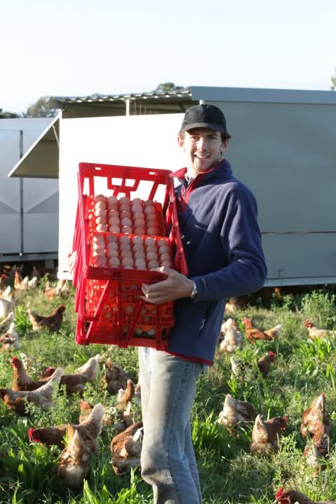Daniel Collecting eggs from Chicken Caravans with egg crates when he owned an egg business